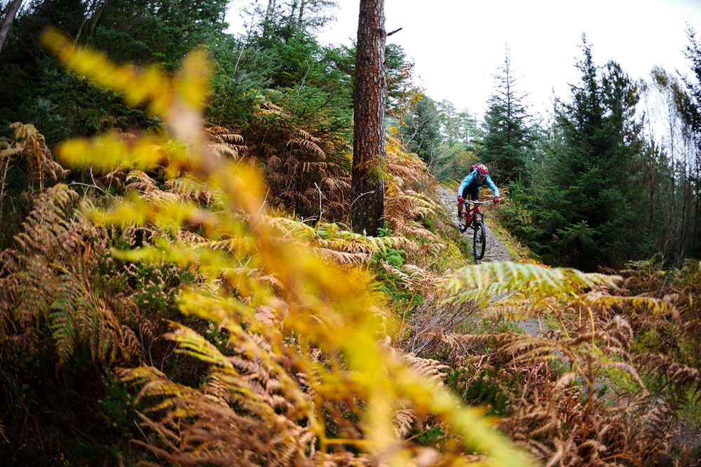 PIECES DE CADRE Soldes -PIECES DE CADRE Soldes 6 9