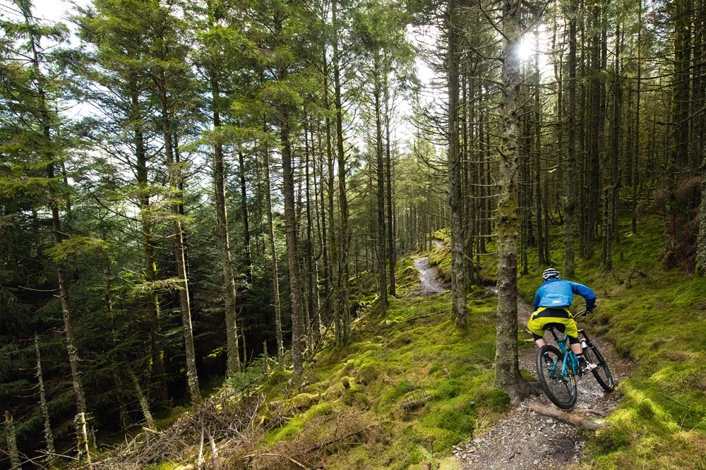 PIECES DE CADRE Soldes -PIECES DE CADRE Soldes 7 2 1