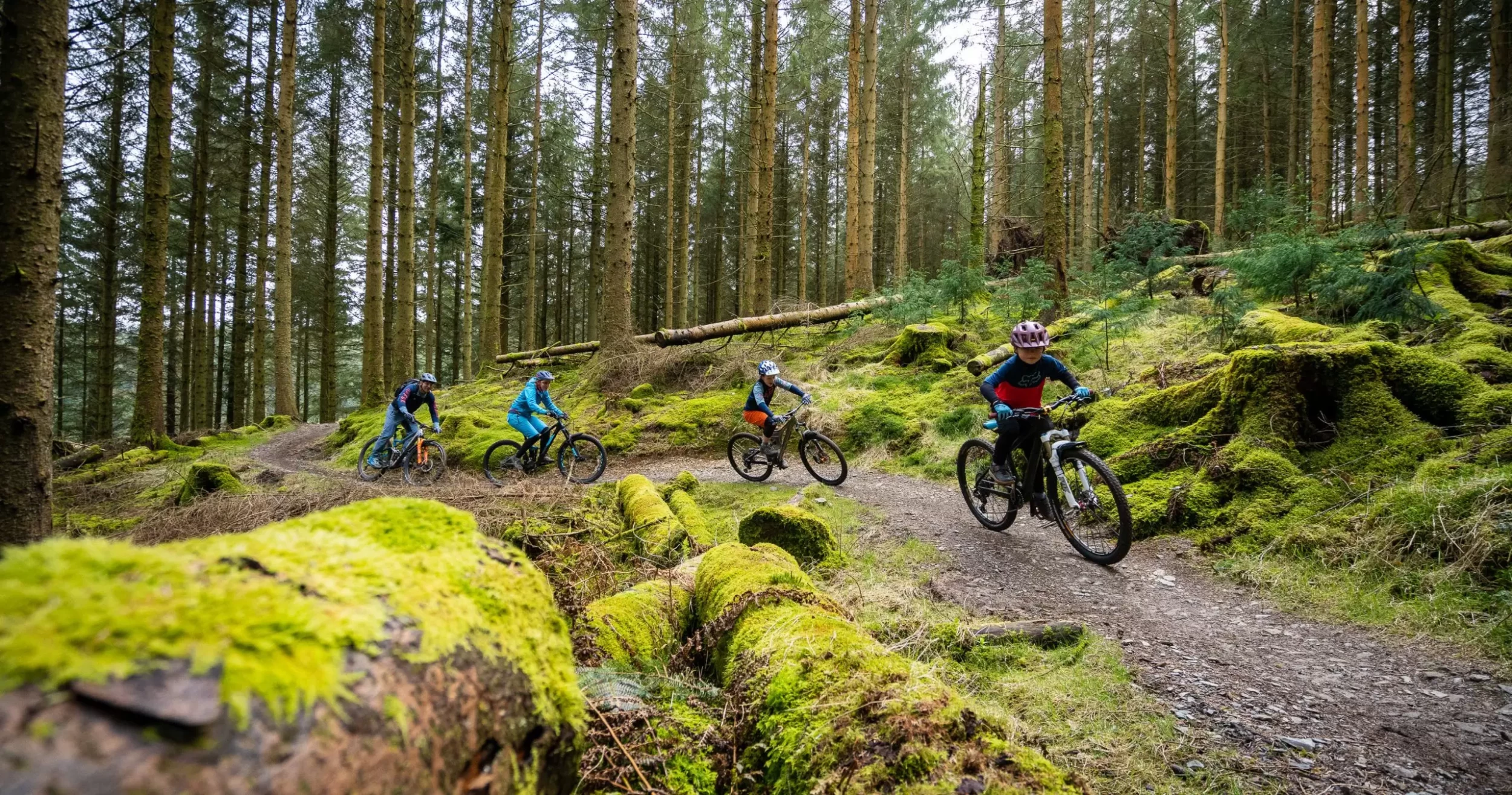 PIECES DE CADRE Soldes -PIECES DE CADRE Soldes 7 3